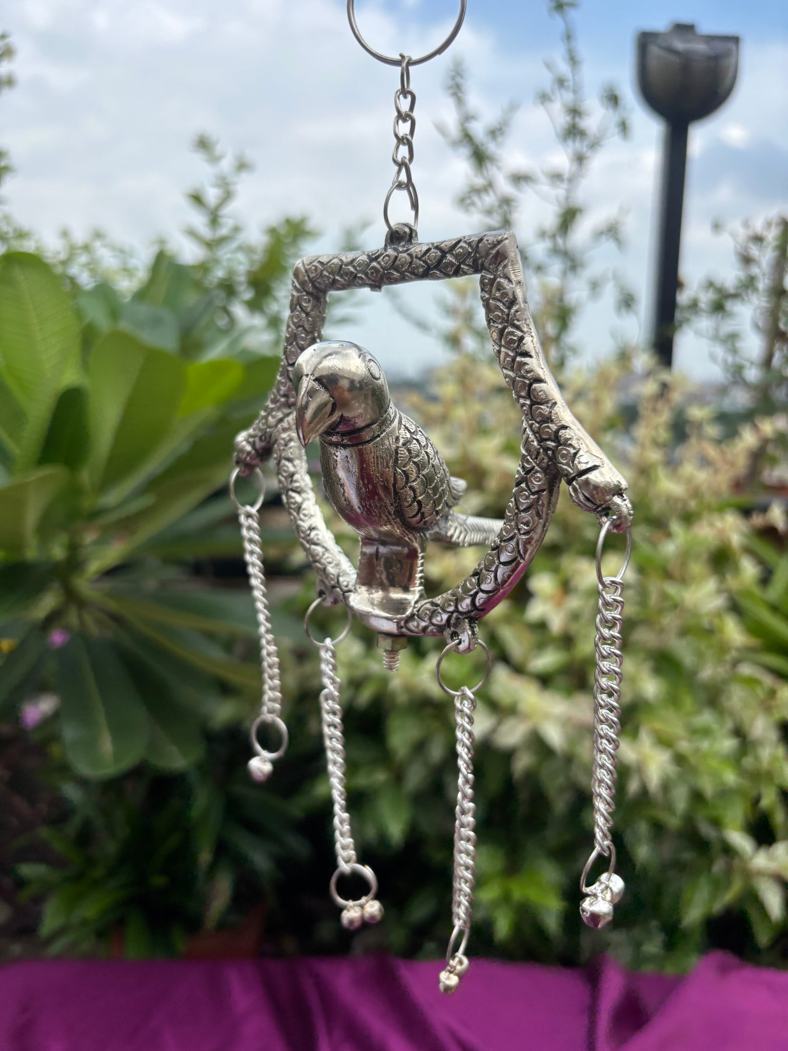 Hanging Parrot