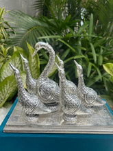 Pure Silver Swan Family