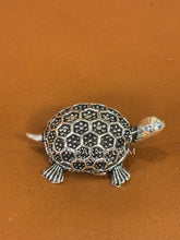 Honeycomb Tortoise