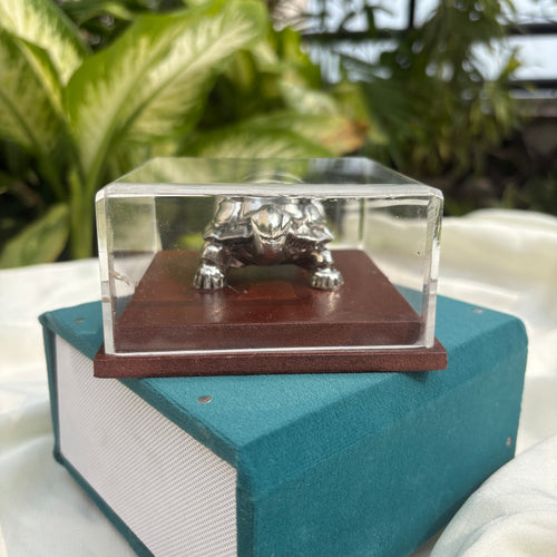 Pure Silver Tortoise in a Box