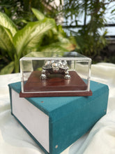 Pure Silver Tortoise in a Box