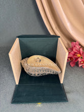 Pure Silver Shankh Box