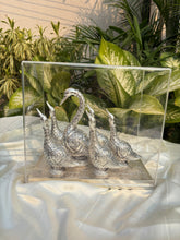 Pure Silver Swan Family