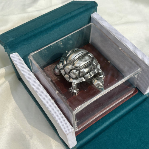 Pure Silver Tortoise in a Box