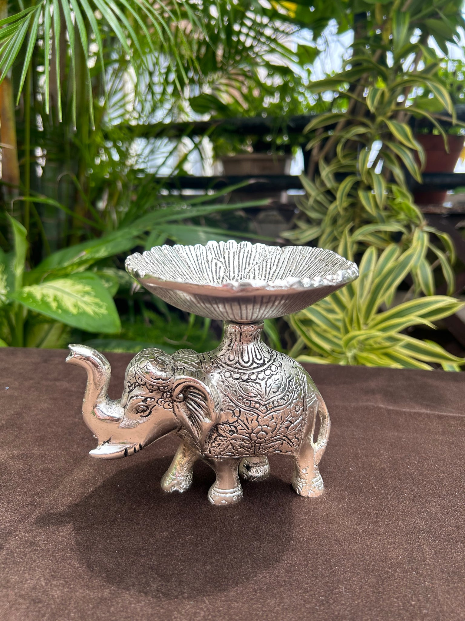 Elephant Plate