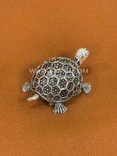 Honeycomb Tortoise