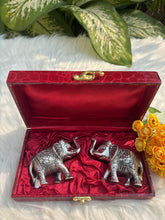 Miniature Elephant Pair