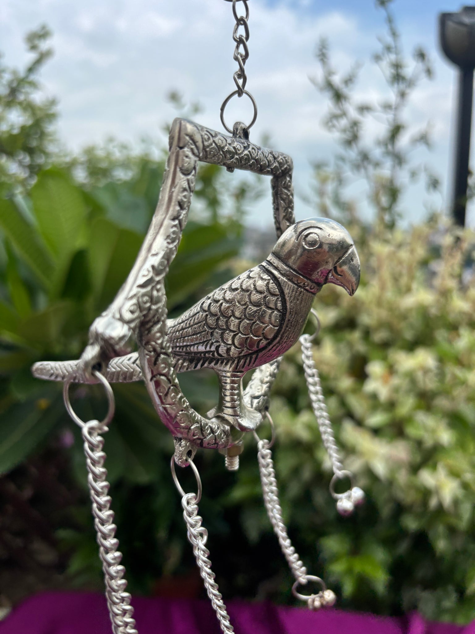 Hanging Parrot