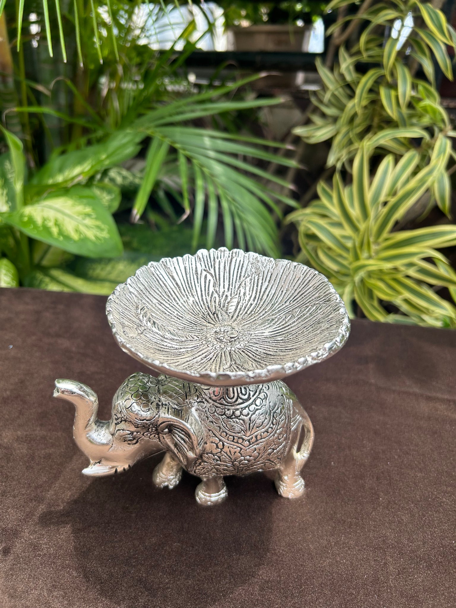 Standing Elephant Plate