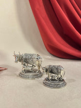 Cow and Calf on Pata