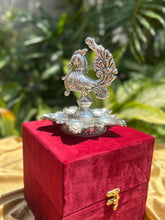 Five Wick Peacock Deepak