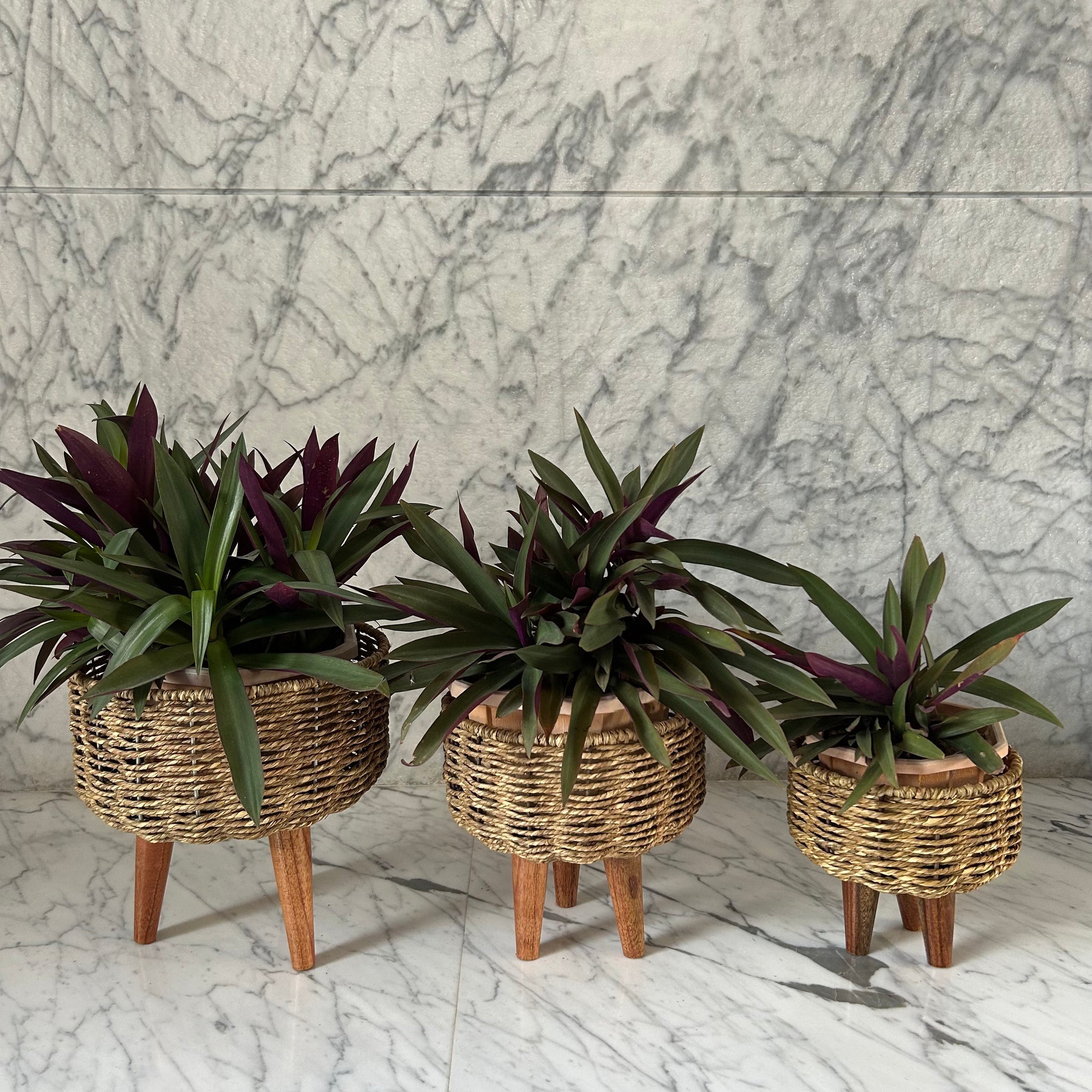 Jute Planters Set of 3