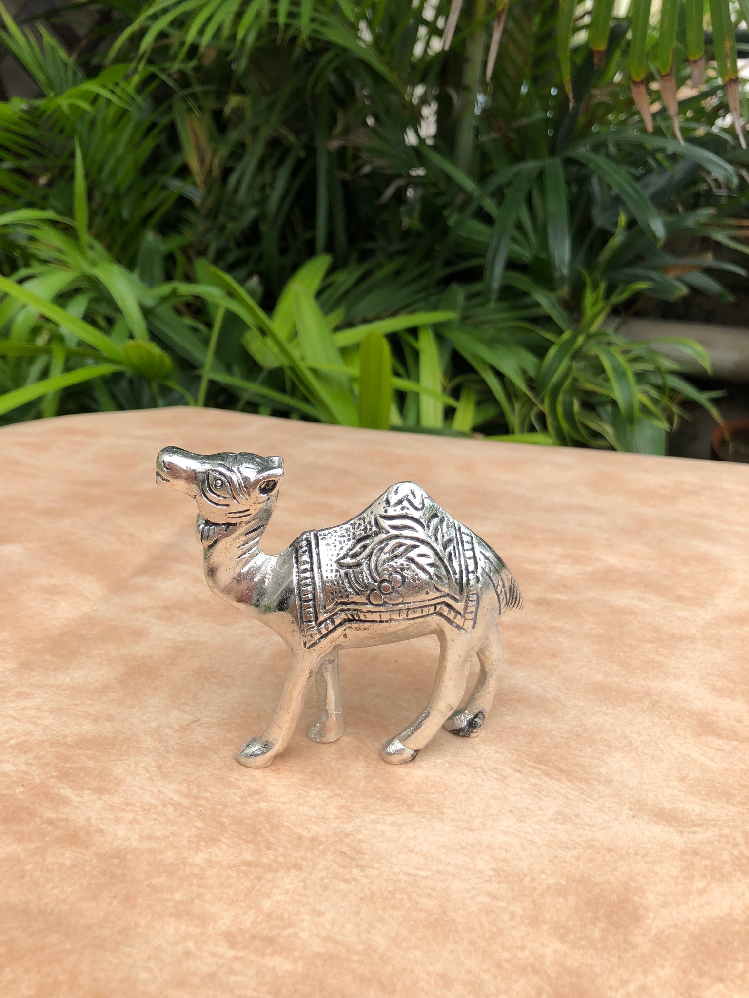 Miniature Camel