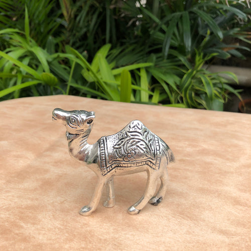 Miniature Camel