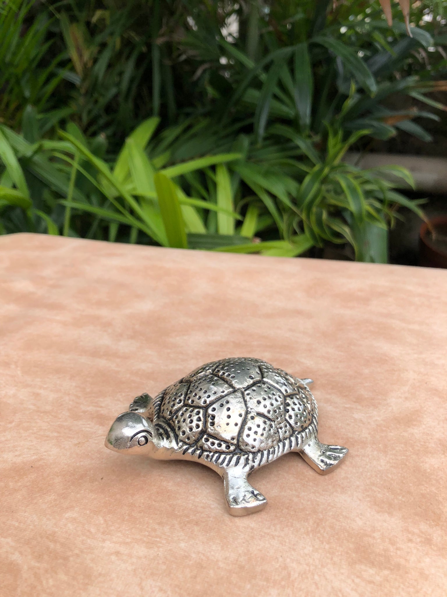 German Silver Tortoise