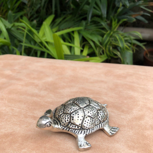 German Silver Tortoise