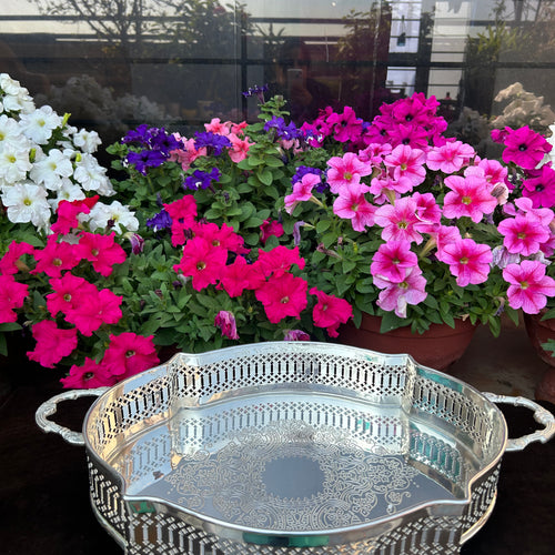 Octagonal Gallery Tray with Handle