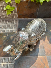 Shahi Elephant