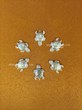 Super Mini Tortoise (Pack of 6)