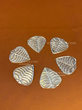Paan Patta (Pack of 5)