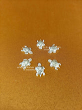 Super Mini Tortoise (Pack of 6)