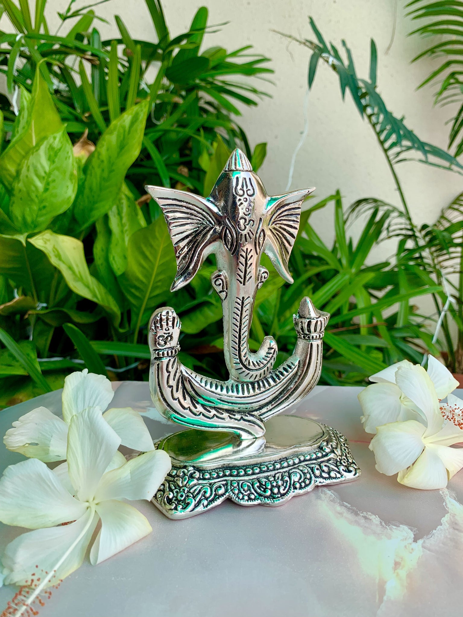 Trunk Ganesha