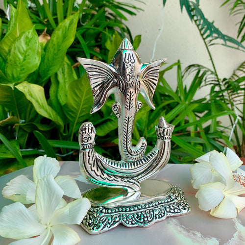 Trunk Ganesha