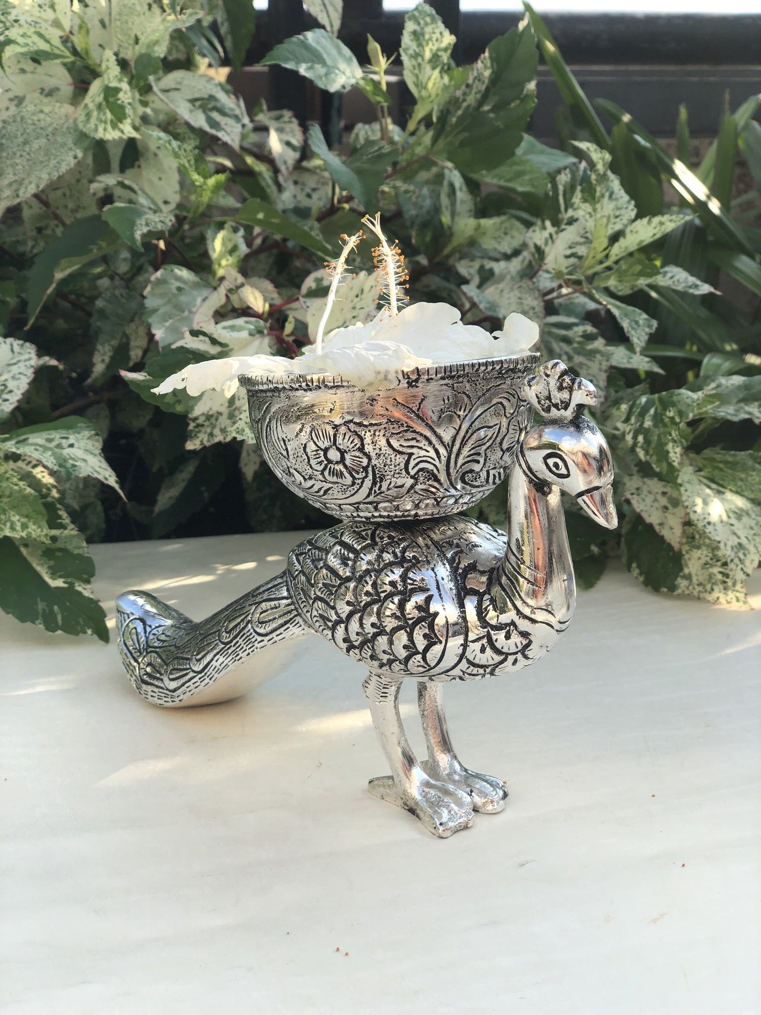 Peacock with Bowl