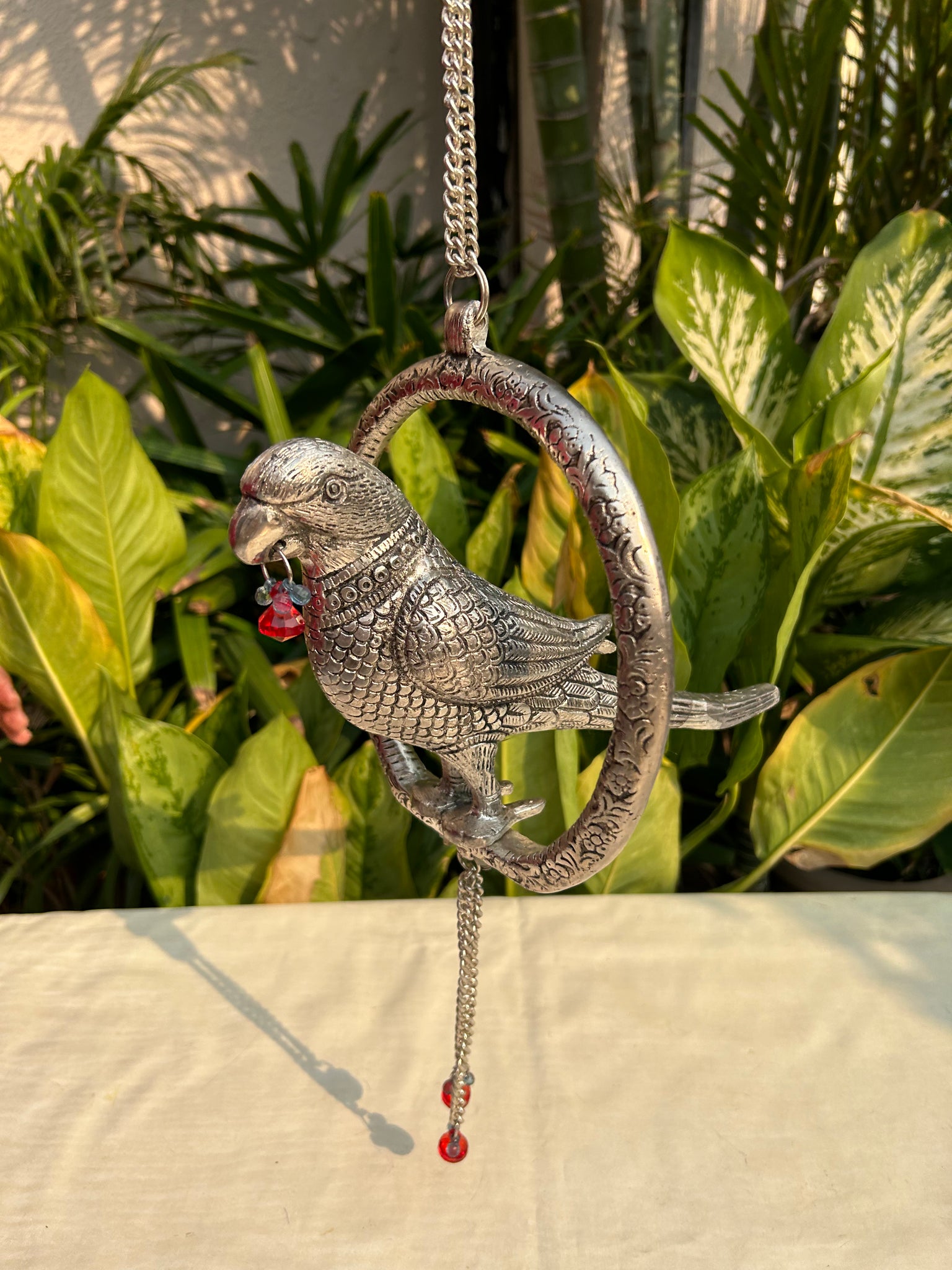 Parrot on Ring