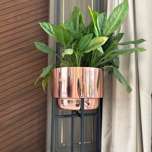 Valencia Metal Planter