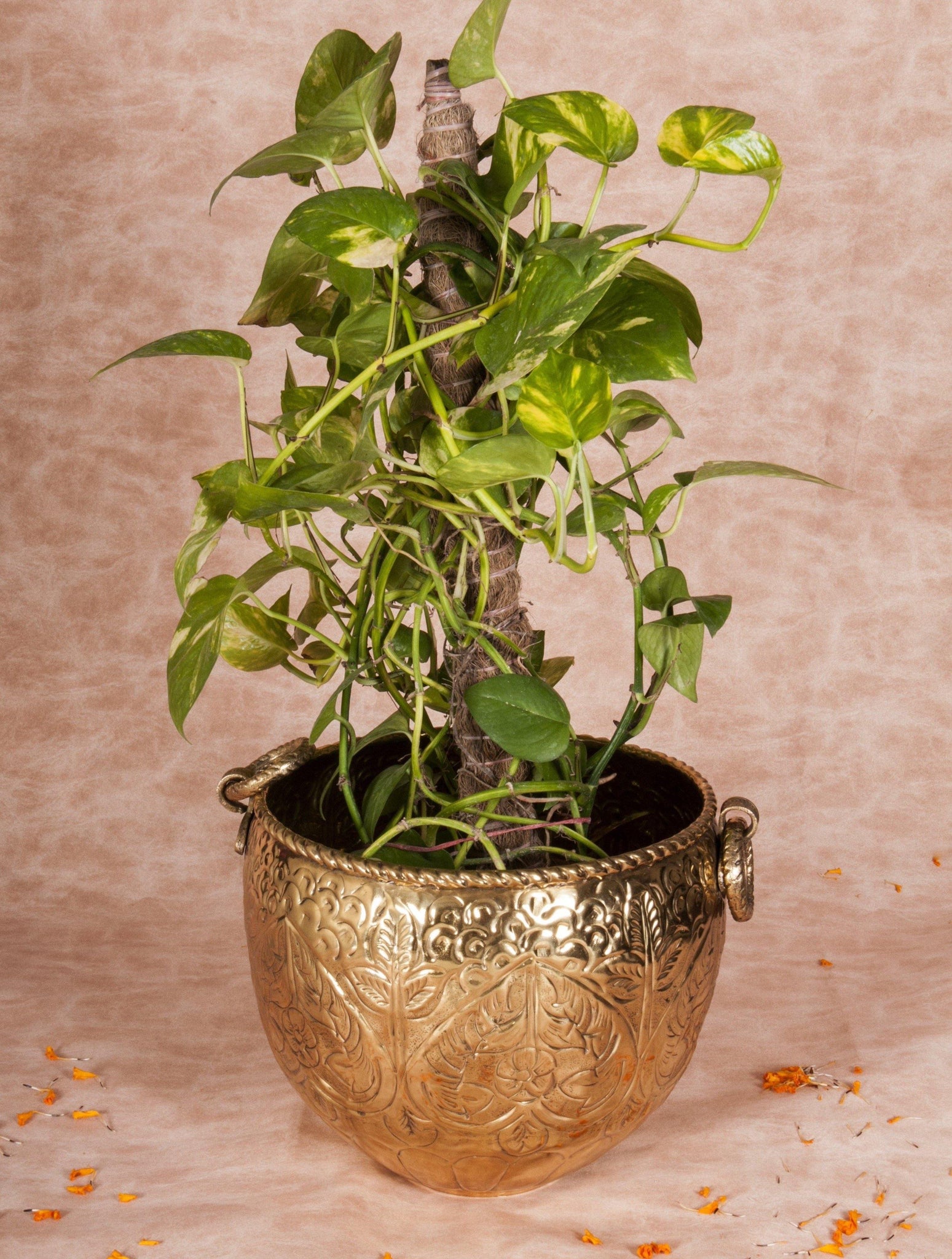 Brass Planter with Carving - Barn 14