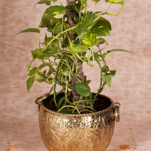 Brass Planter with Carving - Barn 14